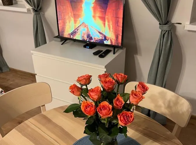 Plebiscytowa 2 Appartement *